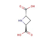 反式吖丁啶-2,4-<span class='lighter'>二羧酸</span>
