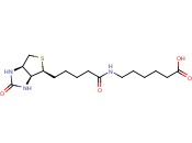 6-生物素氨基己酸