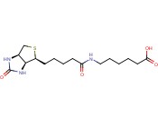 (+)-BIOTIN-<span class='lighter'>EPSILON</span>-AMINOCAPROIC ACID