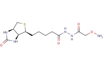 脲<span class='lighter'>氨基酸</span>氧羰基肼-d-生物素