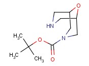 tert-butyl 9-oxa-3,7-diazabicyclo[3.3.1]nonane-3-carboxylate