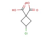 3-CHLORO-CYCLOBUTANE-DICARBOXYLIC ACID