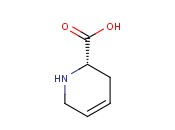 (S)-4,5-DIDEHYDROPIPECOLIC ACID