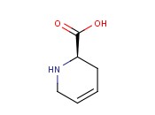 (R)-1,2,3,6-TETRAHYDROPYRIDINE-2-CARBOXYLIC ACID