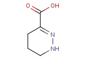 1,4,5,6-TETRAHYDRO-PYRIDAZINE-3-CARBOXYLIC ACID