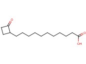 2-OXO-CYCLOBUTANE UNDECANOIC ACID