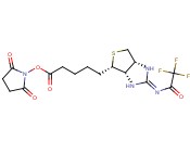 TRIFLUOROACETAMIDOIMINOBIOTIN NHS ESTER