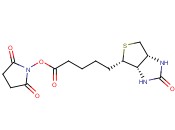 2,5-Dioxopyrrolidin-1-yl 5-((3aS,4S,6aR)-2-oxohexahydro-1H-thieno[3,4-d]imidazol-4-yl)pentanoate