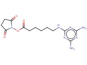 2,5-DIOXOPYRROLIDIN-1-YL 6-((4,6-DIAMINO-1,3,5-TRIAZIN-2-YL)AMINO)HEXANOATE
