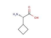 L-CYCLOBUTYLGLYCINE