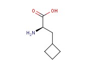 <span class='lighter'>D-</span>环丁基丙<span class='lighter'>氨酸</span>