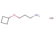 (3-AMINOPROPOXY)CYCLOBUTANE <span class='lighter'>HYDROBROMIDE</span>