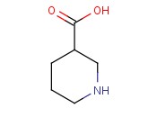 3-哌啶甲酸