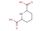 <span class='lighter'>PIPERIDINE-2,6-DICARBOXYLIC</span> ACID