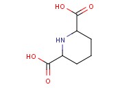 PIPERIDINE-2,6-DICARBOXYLIC ACID