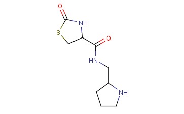 2-OXO-N-(PYRROLIDIN-2-YLMETHYL)-1,3-THIAZOLIDINE-4-CARBOXAMIDE