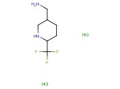 5-(AMINOMETHYL)-2-(TRIFLUOROMETHYL)PIPERIDINE DIHYDROCHLORIDE