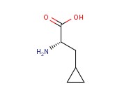 L-CYCLOPROPYLALANINE