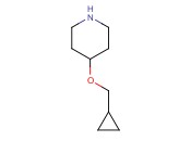 4-(CYCLOPROPYLMETHOXY)PIPERIDINE