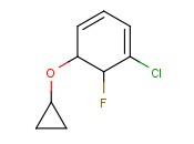 1-CHLORO-5-CYCLOPROPOXY-6-FLUOROCYCLOHEXA-1,3-DIENE