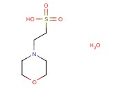 MES MONOHYDRATE