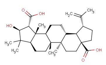 美洲茶<span class='lighter'>酸</span>