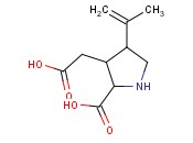 RAC KAINIC ACID