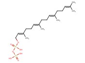GERANYLGERANYL DIPHOSPHATE