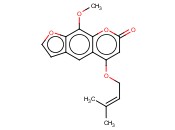 CNIDILIN