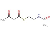 S-[2-(ACETYLAMINO)ETHYL] 3-OXOBUTANETHIOATE