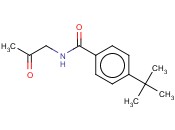 4-TERT-BUTYL-N-(2-OXOPROPYL)BENZAMIDE
