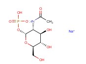 N-<span class='lighter'>乙酰</span>-A-D-<span class='lighter'>氨基</span>葡萄糖-1-磷酸酯