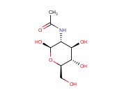 N-ACETYL-<span class='lighter'>BETA</span>-D-GLUCOSAMINE