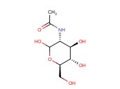 N-<span class='lighter'>乙酰</span>-D-<span class='lighter'>氨基</span>葡萄糖