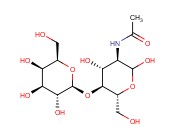 <span class='lighter'>N-ACETYLLACTOSAMINE</span>