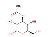 3-<span class='lighter'>ACETAMIDO-3-DEOXY</span>-D-GLUCOSE