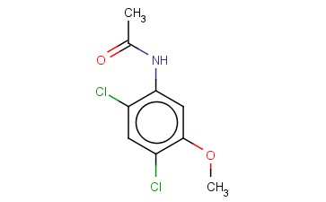N-(2,4-DICHLORO-5-METHOXYPHENYL)ACETAMIDE