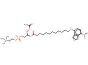 1-ACYL-2-[12-[(7-NITRO-2-1,3-BENZOXADIAZOL-4-YL)AMINO]LAUROYL]-SN-GLYCERO-3-PHOSPHOCHOLINE