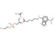 1-ACYL-2-[6-[(7-NITRO-2-1,3-BENZOXADIAZOL-4-YL)AMINO]HEXANOYL]-SN-GLYCERO-3-PHOSPHOETHANOLAMINE