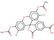 5[6]-羧基-2',7'-<span class='lighter'>二</span>氯荧光素<span class='lighter'>二</span>乙酸酯