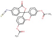 <span class='lighter'>FLUORESCEIN-DIACETATE-5-ISOTHIOCYANATE</span>