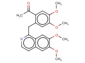 PSEUDOCORALYNE