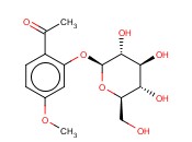 2-乙酰基-5-<span class='lighter'>甲</span><span class='lighter'>氧</span><span class='lighter'>苯基</span>β-D-吡喃葡萄糖苷