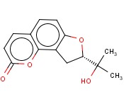 <span class='lighter'>吗</span><span class='lighter'>啉</span>,4-(3-甲基-3-丁烯<span class='lighter'>基</span>)- (9CI)