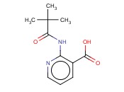 2-(<span class='lighter'>2,2-DIMETHYL</span>-PROPIONYLAMINO)-NICOTINIC ACID