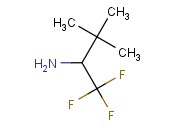 2,2-DIMETHYL-1-TRIFLUOROMETHYL-PROPYLAMINE