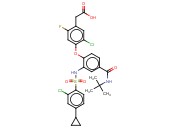 AMG <span class='lighter'>853</span>