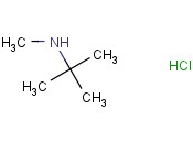 N,2-DIMETHYLPROPAN-2-AMINE HYDROCHLORIDE