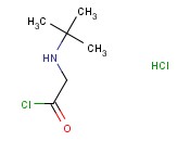 2-[(叔<span class='lighter'>丁基</span>)氨基]乙酰氯<span class='lighter'>盐酸盐</span>
