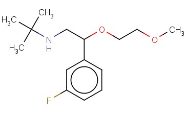 TERT-BUTYL[2-(3-FLUOROPHENYL)-2-(2-METHOXYETHOXY)ETHYL]AMINE